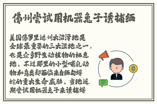 大片在线观看哔哩哔哩